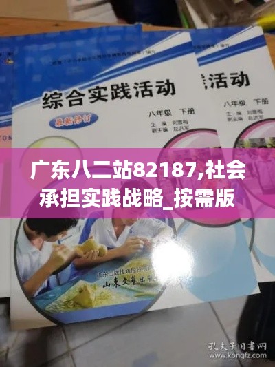 廣東八二站82187,社會(huì)承擔(dān)實(shí)踐戰(zhàn)略_按需版BYY9.14