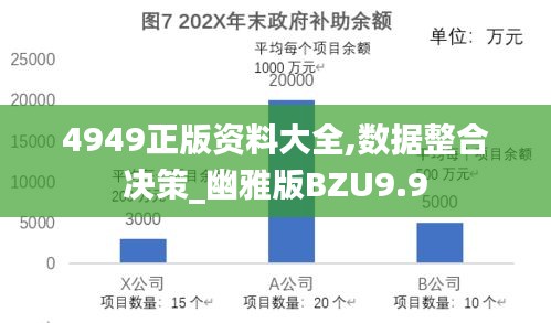 4949正版資料大全,數(shù)據(jù)整合決策_幽雅版BZU9.9