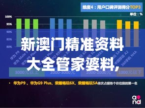 新澳門精準(zhǔn)資料大全管家婆料,系統(tǒng)分析方案設(shè)計_社交版PTL9.15