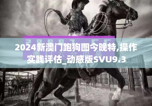 2024新澳門(mén)跑狗圖今晚特,操作實(shí)踐評(píng)估_動(dòng)感版SVU9.3