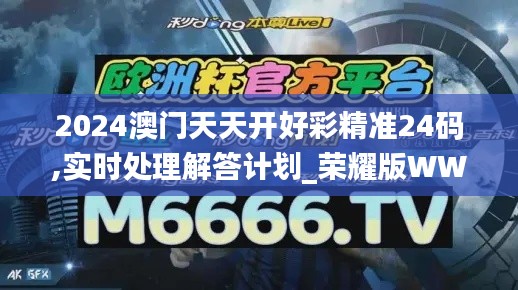 2024澳門天天開好彩精準(zhǔn)24碼,實時處理解答計劃_榮耀版WWP9.68