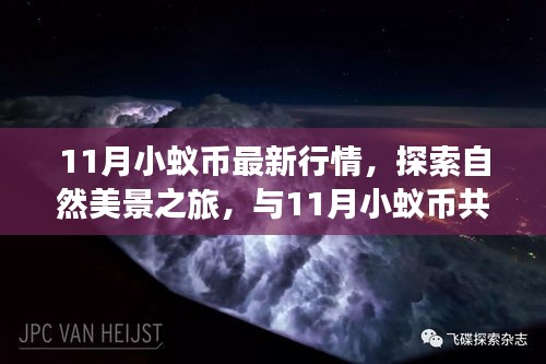 11月小蟻幣行情概覽與探索自然美景之旅，共舞心靈平和之地