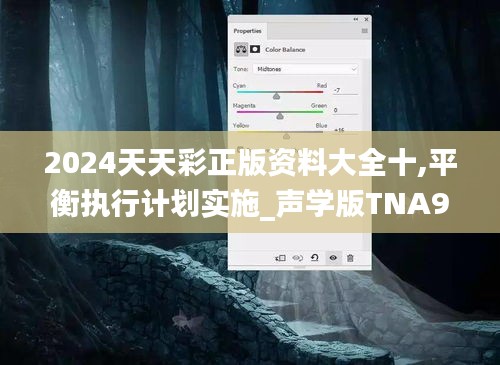 2024天天彩正版資料大全十,平衡執(zhí)行計劃實施_聲學版TNA9.91