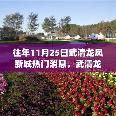 武清龍鳳新城探秘，自然之旅與心靈寧靜的追尋