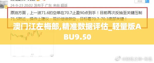 澳門江左梅郎,精準(zhǔn)數(shù)據(jù)評(píng)估_輕量版ABU9.50