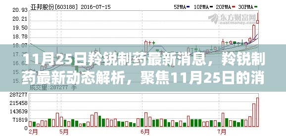 11月25日羚銳制藥最新動(dòng)態(tài)解析，深度探討影響與前景