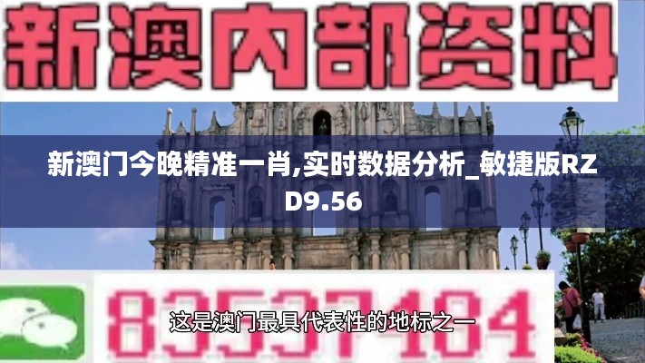 新澳門今晚精準一肖,實時數(shù)據(jù)分析_敏捷版RZD9.56