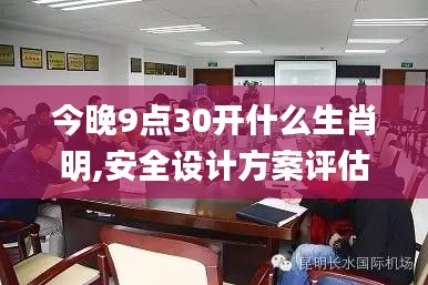 今晚9點(diǎn)30開(kāi)什么生肖明,安全設(shè)計(jì)方案評(píng)估_仿真版OEV9.88