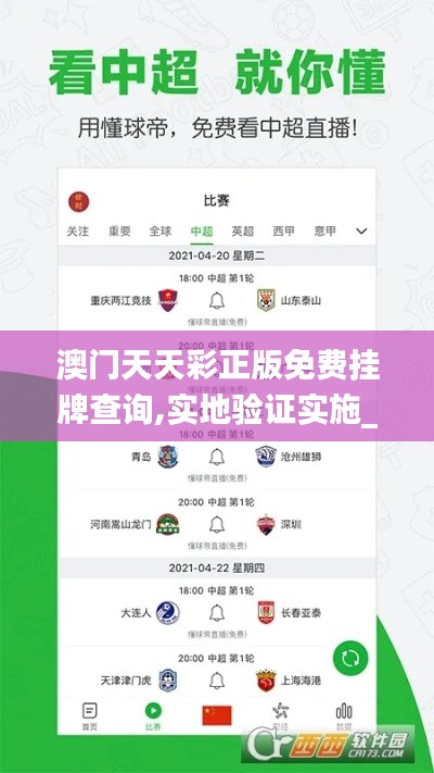澳門天天彩正版免費(fèi)掛牌查詢,實(shí)地驗(yàn)證實(shí)施_跨界版XJN9.35