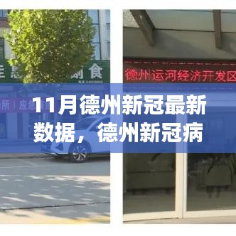 德州新冠病毒疫情最新數(shù)據(jù)報告（11月版），疫情現(xiàn)狀、變化與應對策略揭秘