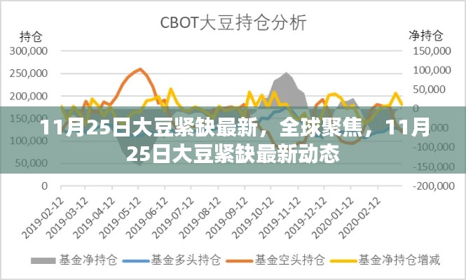 全球聚焦，11月25日大豆緊缺最新動態(tài)報告