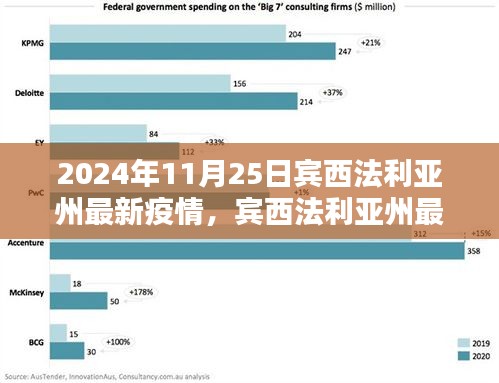 賓西法利亞州最新疫情動態(tài)及應(yīng)對指南，2024年11月25日的防護(hù)與應(yīng)對步驟