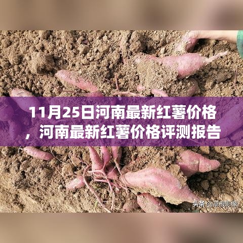 河南最新紅薯價(jià)格報(bào)告，深度解析市場(chǎng)趨勢(shì)與產(chǎn)品特性