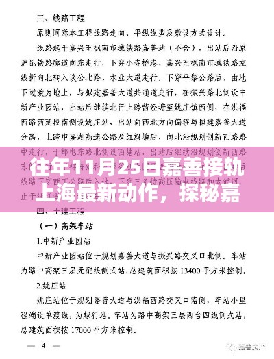 探秘嘉善接軌上海新動(dòng)態(tài)，小巷深處的獨(dú)特風(fēng)味與歷年11月25日最新接軌動(dòng)作回顧