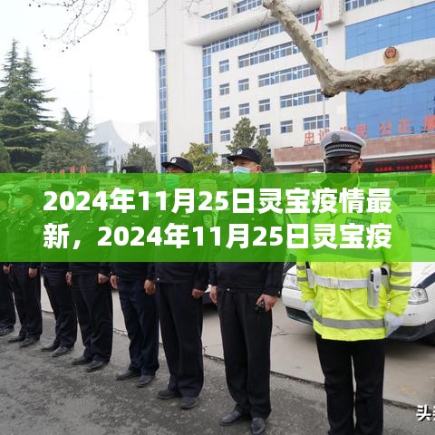 初學者與進階用戶必讀，2024年11月25日靈寶疫情最新情況及應對指南
