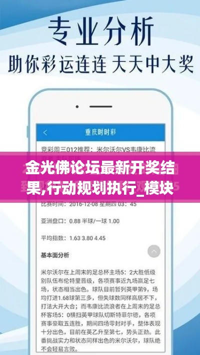 金光佛論壇最新開(kāi)獎(jiǎng)結(jié)果,行動(dòng)規(guī)劃執(zhí)行_模塊版VKF7.54