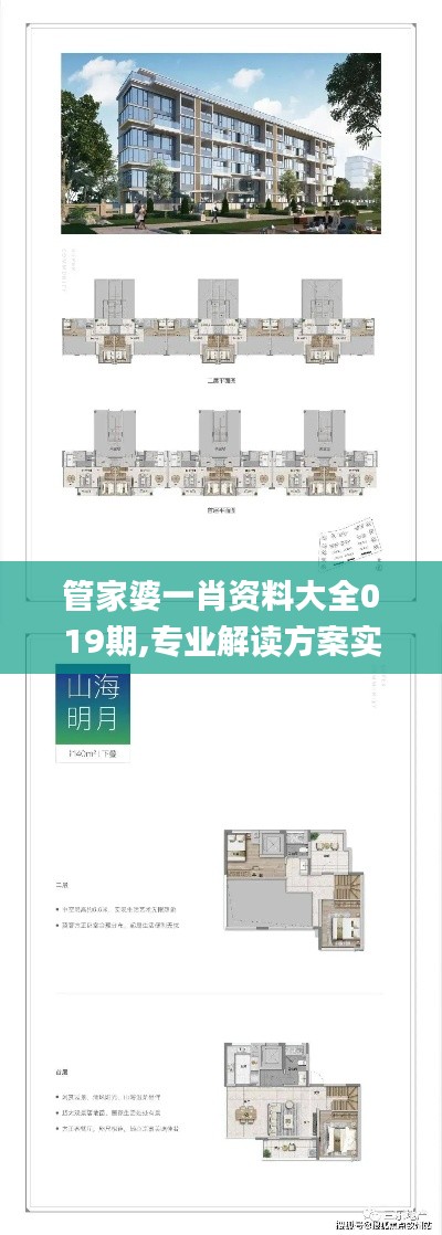 管家婆一肖資料大全019期,專業(yè)解讀方案實(shí)施_VR版ZCY7.29