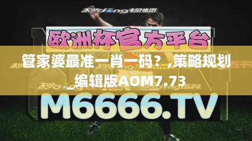 管家婆最準(zhǔn)一肖一碼？,策略規(guī)劃_編輯版AOM7.73