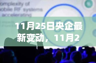 11月25日央企最新變動(dòng)詳解，全面評(píng)測(cè)與介紹