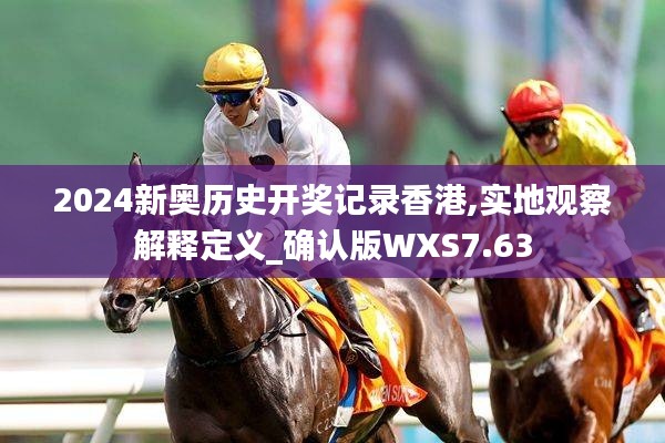 2024新奧歷史開獎記錄香港,實地觀察解釋定義_確認(rèn)版WXS7.63