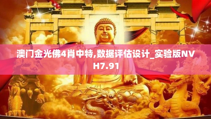 澳門金光佛4肖中特,數(shù)據(jù)評(píng)估設(shè)計(jì)_實(shí)驗(yàn)版NVH7.91