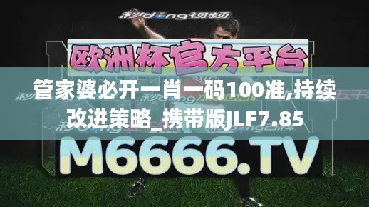 管家婆必開一肖一碼100準,持續(xù)改進策略_攜帶版JLF7.85
