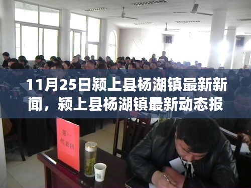 潁上縣楊湖鎮(zhèn)11月25日發(fā)展亮點(diǎn)及最新動(dòng)態(tài)報(bào)道