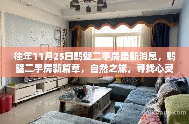 往年11月25日鶴壁二手房最新動(dòng)態(tài)，心靈港灣的自然之旅
