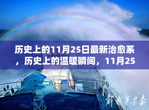 歷史上的治愈瞬間，11月25日的溫暖瞬間回顧