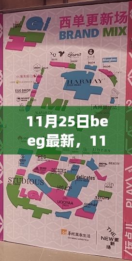 11月25日beeg最新，11月25日Beeg最新更新，深度探討其影響及觀點(diǎn)
