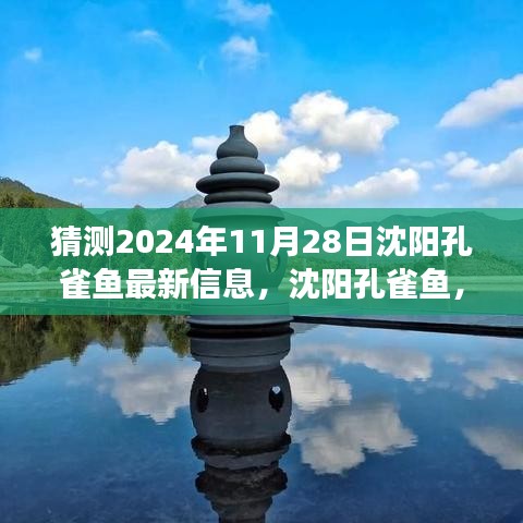沈陽孔雀魚未來展望，探尋歷史與未來的交織之美，預(yù)測2024年11月最新信息揭秘