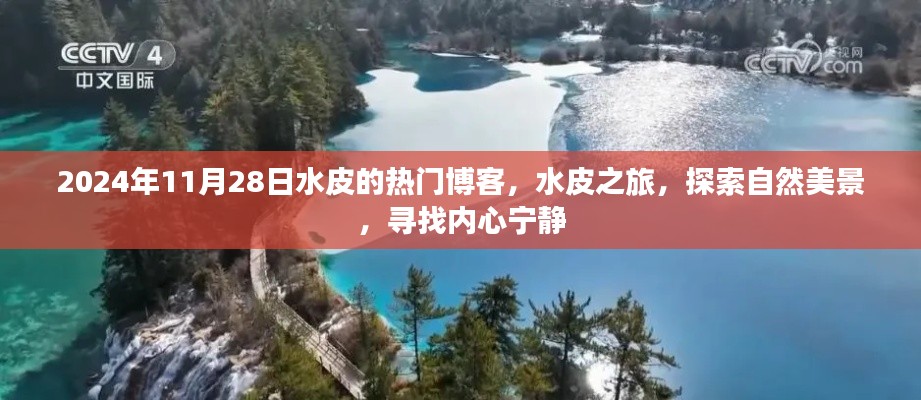 水皮之旅，探索自然美景，尋找內(nèi)心寧靜的博客日志（2024年11月28日）