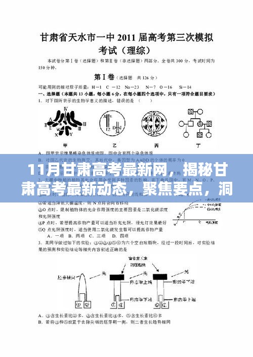 聚焦甘肅高考最新動(dòng)態(tài)，揭秘要點(diǎn)、洞悉趨勢(shì)