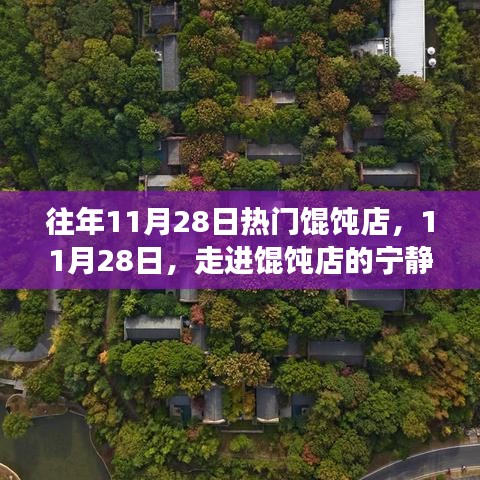 11月28日餛飩店的寧靜秘境，自然美景的邂逅之旅