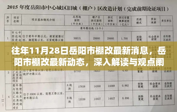 岳陽市棚改最新動態(tài)解讀與觀點闡述，歷年11月28日更新消息