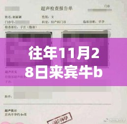 重磅獨家爆料，來賓牛b超最新搞笑視頻——科技狂歡下的超級體驗日！