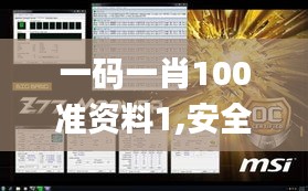 一碼一肖100準資料1,安全性方案執(zhí)行_游戲版WER8.10