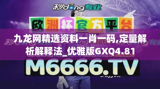 九龍網精選資料一肖一碼,定量解析解釋法_優(yōu)雅版GXQ4.81