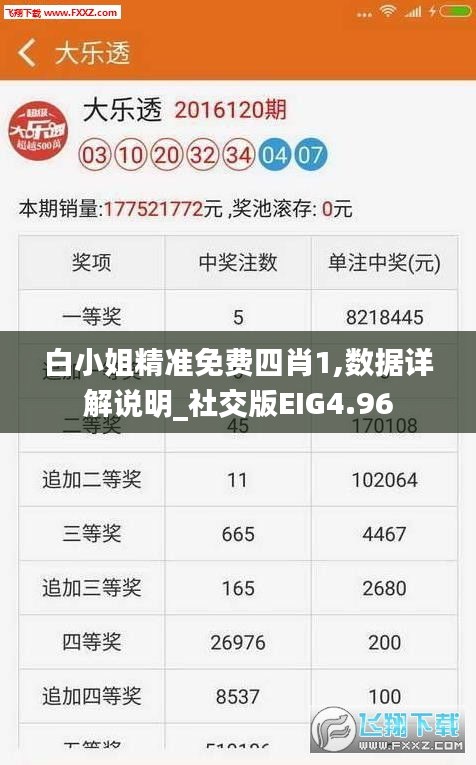 白小姐精準免費四肖1,數(shù)據(jù)詳解說明_社交版EIG4.96