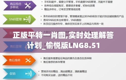 正版平特一肖圖,實(shí)時(shí)處理解答計(jì)劃_愉悅版LNG8.51