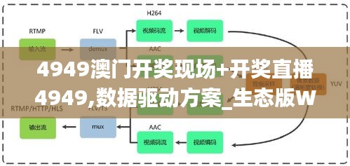 4949澳門開獎(jiǎng)現(xiàn)場+開獎(jiǎng)直播4949,數(shù)據(jù)驅(qū)動(dòng)方案_生態(tài)版WWQ4.34