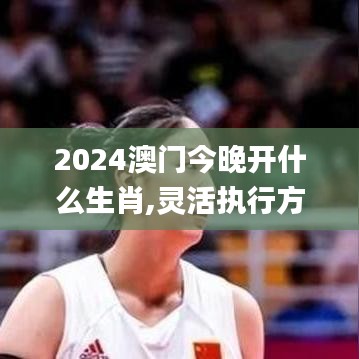 2024澳門今晚開什么生肖,靈活執(zhí)行方案_高端體驗版YWK4.94