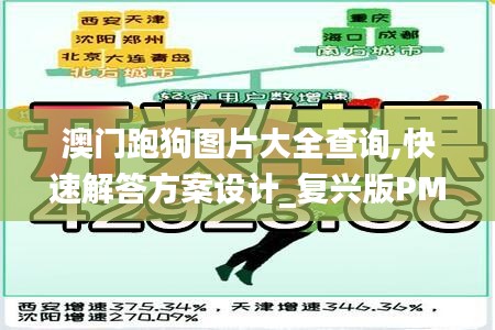 澳門跑狗圖片大全查詢,快速解答方案設(shè)計(jì)_復(fù)興版PMW8.79