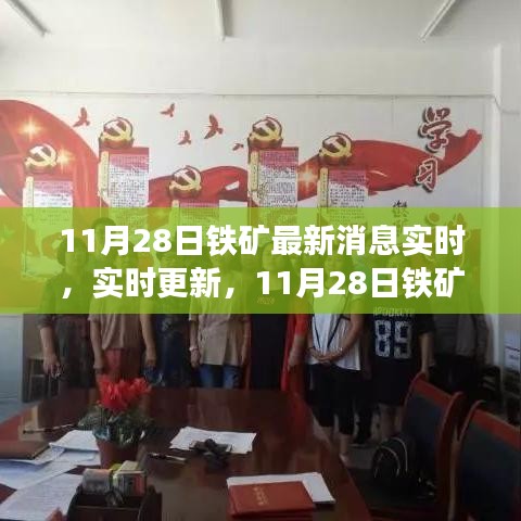 11月28日鐵礦實時消息更新，最新動態(tài)與資訊