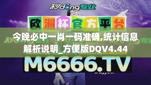 今晚必中一肖一碼準(zhǔn)確,統(tǒng)計信息解析說明_方便版DQV4.44