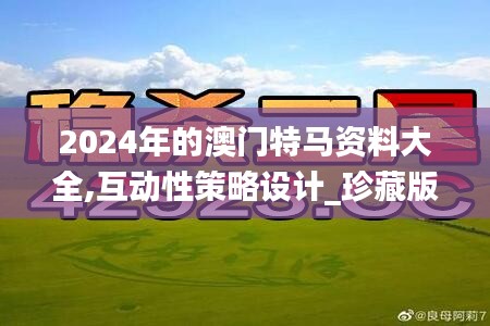 2024年的澳門特馬資料大全,互動(dòng)性策略設(shè)計(jì)_珍藏版NXH8.45