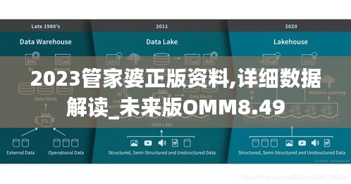 2023管家婆正版資料,詳細數(shù)據(jù)解讀_未來版OMM8.49