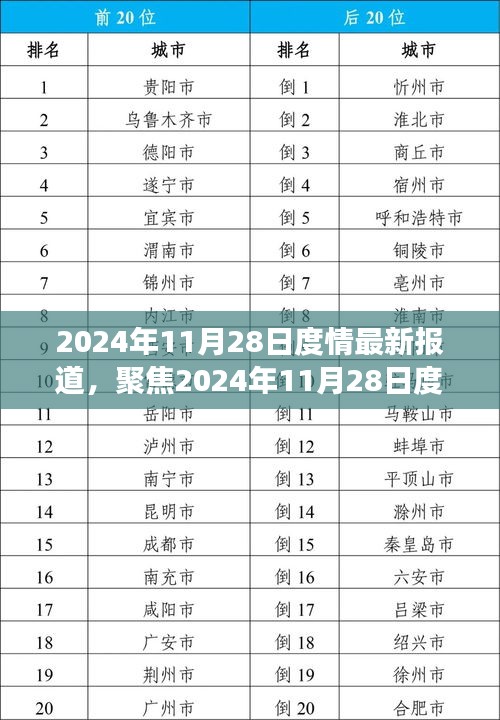 獨(dú)家解析，2024年11月28日度情最新報(bào)道的綜合觀(guān)點(diǎn)與個(gè)人立場(chǎng)