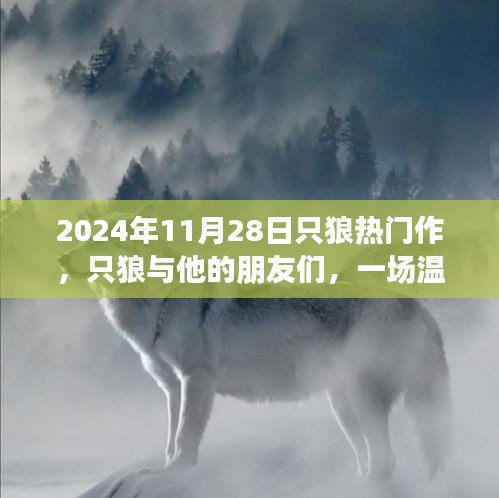 只狼與他的朋友們，一場溫馨的冒險之旅（2024年11月28日）
