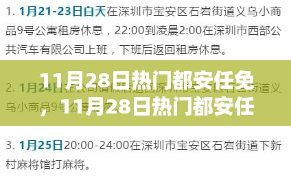 11月28日熱門都安任免步驟指南，適合初學(xué)者與進(jìn)階用戶